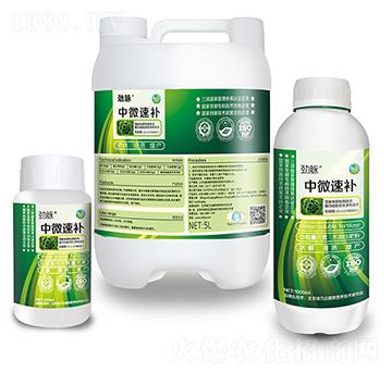 中微速補(bǔ)組合-勁脈