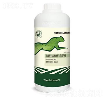 ��S���x�ӹ�-���}