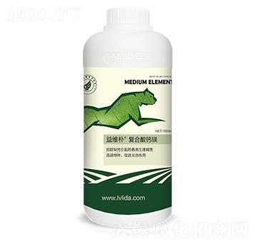 ��S��ͺ����}�V-���}