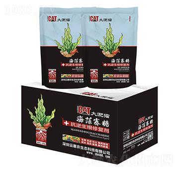 ����؈�������-�ƻ��r(n��ng)