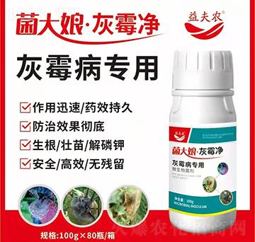灰霉病專用-菌大娘·灰霉凈-益夫農(nóng)