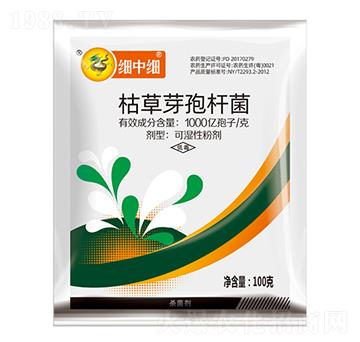 �ݲ�ѿ�ߗU��-��(x��)�м�(x��)-ֲ����