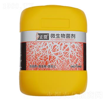 ��΢��΢���������-ֲ����