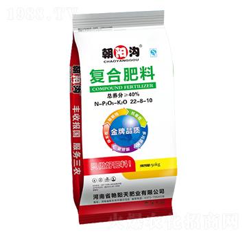 花生氨酸復合肥22-8-10-朝陽溝-艷陽天肥業(yè)