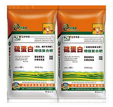 �򵰰����|(zh��)��(f��)�Ϸ�-���r(n��ng)����