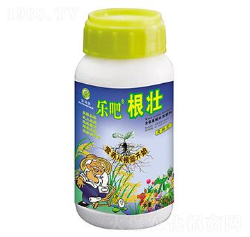 300g樂吧根壯（育秧型）-百陽墾