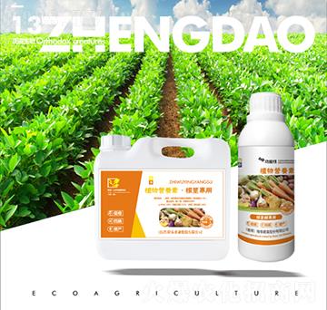 ���o����ֲ��I�B(y��ng)��-��������