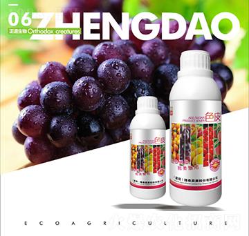 ��������~���-ɫƤ-��������