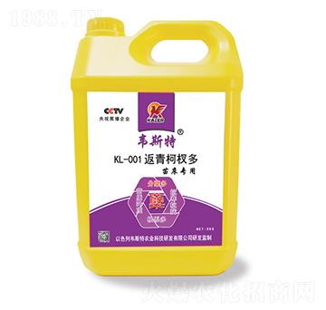 �紲KL-001�����辶�-�f˹��-���r(n��ng)�I(y��)