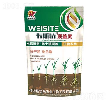 �紲��w�`-�f˹��-���r(n��ng)�I(y��)