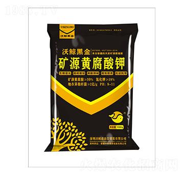 �VԴ�S����⛾���-�ڽ�3̖-���L