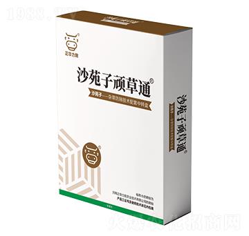 沙苑子頑草通-正華力致