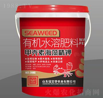 �ך��غ��徫�-�𸻵�