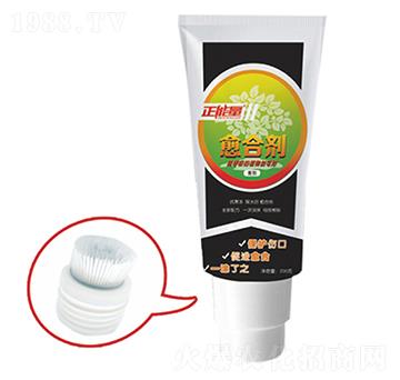 植物愈合劑-正能量