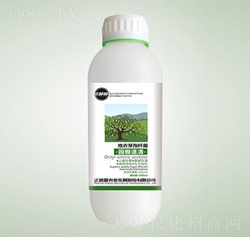 ����ѿ�ߗU��-�@������-������