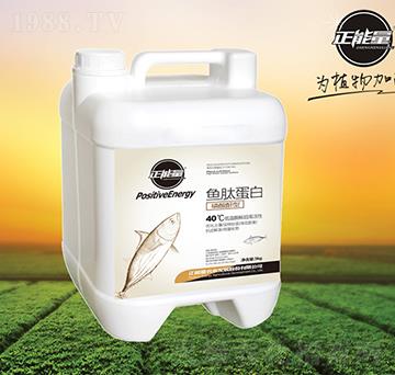 魚肽蛋白-正能量-正能量