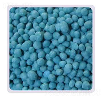 ����⛏ͺϷ�19-19-19-���P����