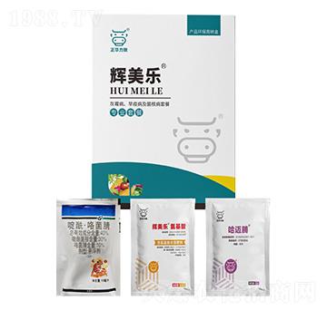 灰霉病、早疫病及菌核病套餐-輝美樂-正華力致