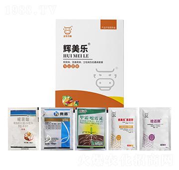 根腐病、莖基腐病、立枯病及枯萎病套餐-輝美樂-正華力致