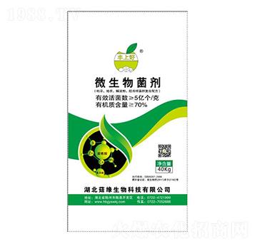 ΢�������-�S�Ϻ�-��������