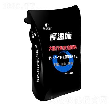 Ħ��ʩ����Ԫ��ˮ�ܷ���19-19-19+�t�����+TE-���ǻ�