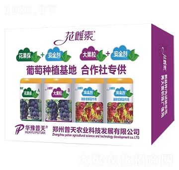 ���ѻ�����-�����r�I(y��)