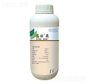 ʢ����-��������