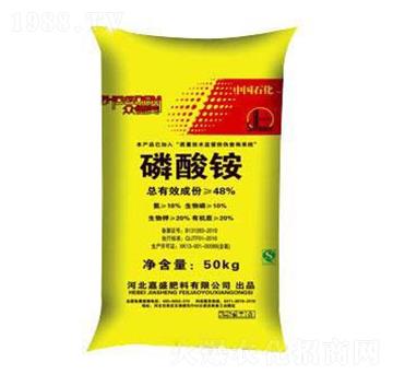 �����@-��ʢ����