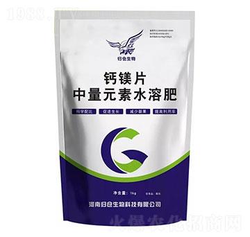 �}�VƬ-�w�}����