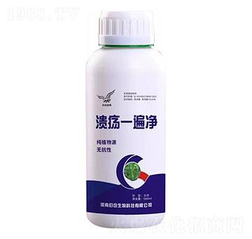 ����һ���-�w�}����