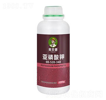 �������00-520-340-Ӣؐ��