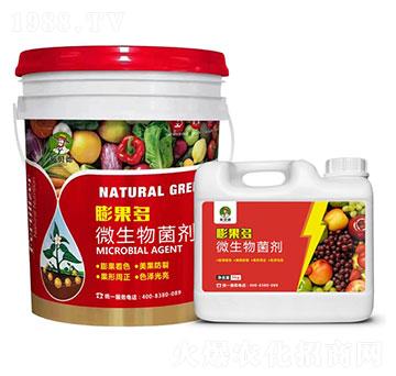 ΢�������-�����-Ӣؐ��