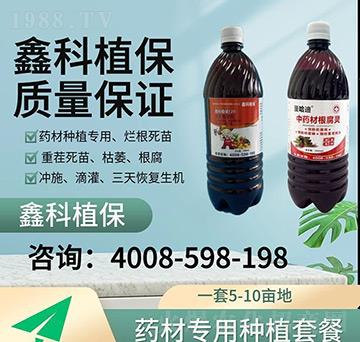 ��ˎ�ĸ����`-�ο�ֲ��