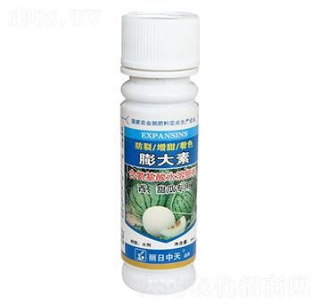 ��������ό���-���������-����ʘI(y��)