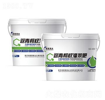 返青柯杈灌漿肥-歐聯(lián)美達