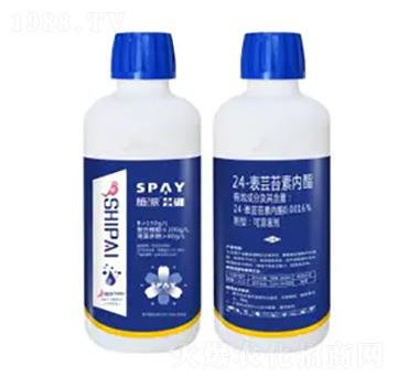 24-���|̦�؃�֬-�|��-ʩ������