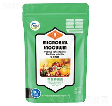 ΢�������-�ݸ�����-ʢ��¡��