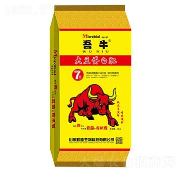 大豆蛋白肥-吾牛-中壤