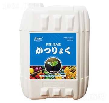 ΢�������-������-��ɏ-���r��