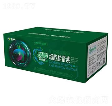 ̼ø��(x��)�������أ��䣩-Ӣ��-��ɭԪ