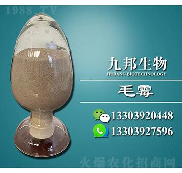 BMëù���N-�Ű�����