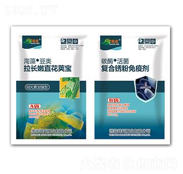 拉長嫩直花英寶+復(fù)合銹粉免疫劑-韓金-韓邦肥業(yè)