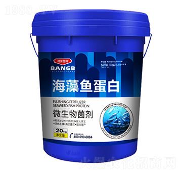 海藻魚(yú)蛋白-邦保國(guó)際