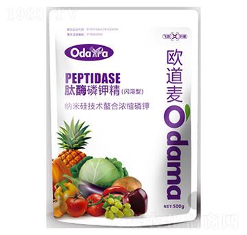 ��ø��⛾�(�W����)-�W����