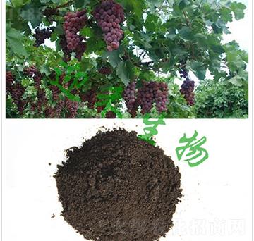 ���ь��÷�-ӭ������