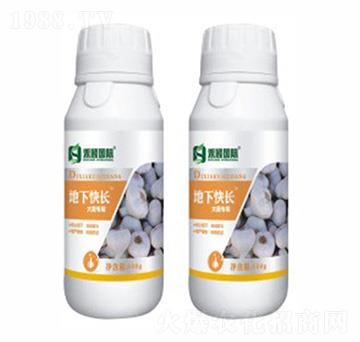 蒜、蔥、姜專用葉面肥-地下快長(zhǎng)-禾穎生物