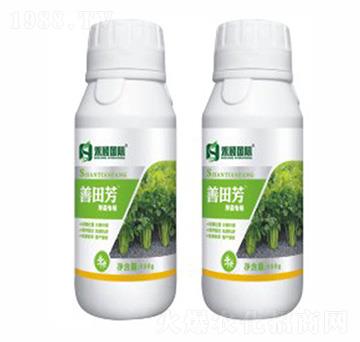 芹菜專用葉面肥-善田芳-禾穎生物