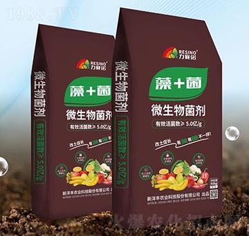 ��+��΢�������-��ِ