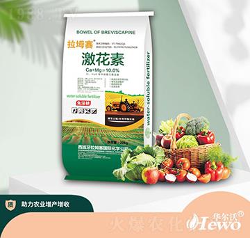 20kg������-��ķ��-�A����