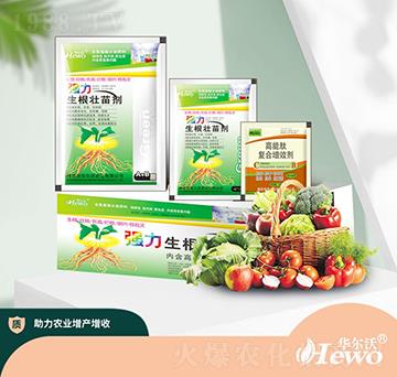 �������焩-�A����